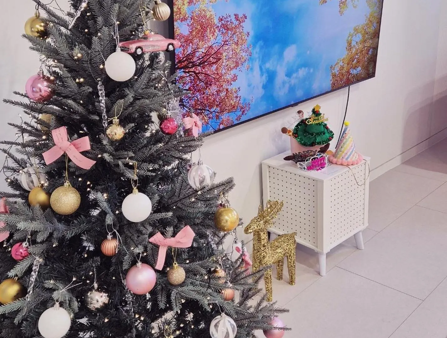 조이풀스테이 대한민국